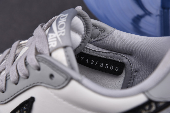 AIR JORDAN 1 RETRO LOW D10R CN8606-002