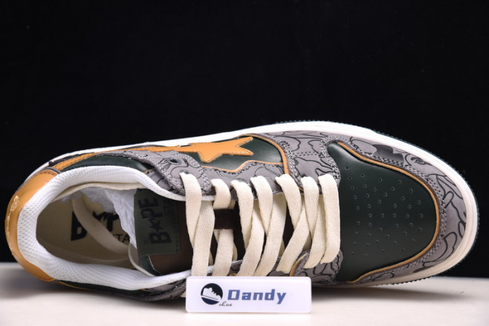 BAPE Shoe